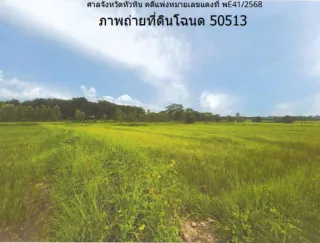 รูปทรัพย์ 1