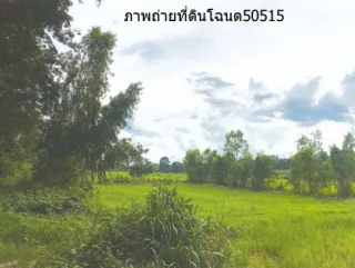 รูปทรัพย์ 2