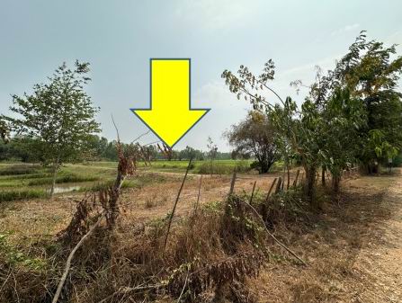 ขายทอดตลาด ที่ดินว่างเปล่า ต.ธัญญา อ.กมลาไสย จ.กาฬสินธุ์