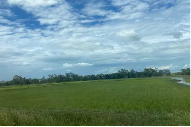 ขายทอดตลาด ที่ดินว่างเปล่า ต.หนองอิเฒ่า(หัวงัว) อ.ยางตลาด จ.กาฬสินธุ์