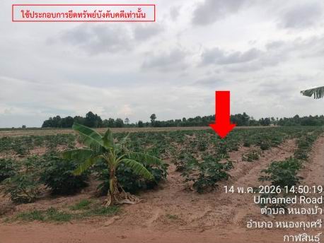 ขายทอดตลาด ที่ดินว่างเปล่า ต.หนองบัว อ.หนองกุงศรี จ.กาฬสินธุ์