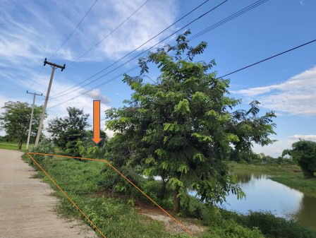 ขายทอดตลาด ที่ดินว่างเปล่า ต.ลำพาน อ.เมืองกาฬสินธุ์ จ.กาฬสินธุ์