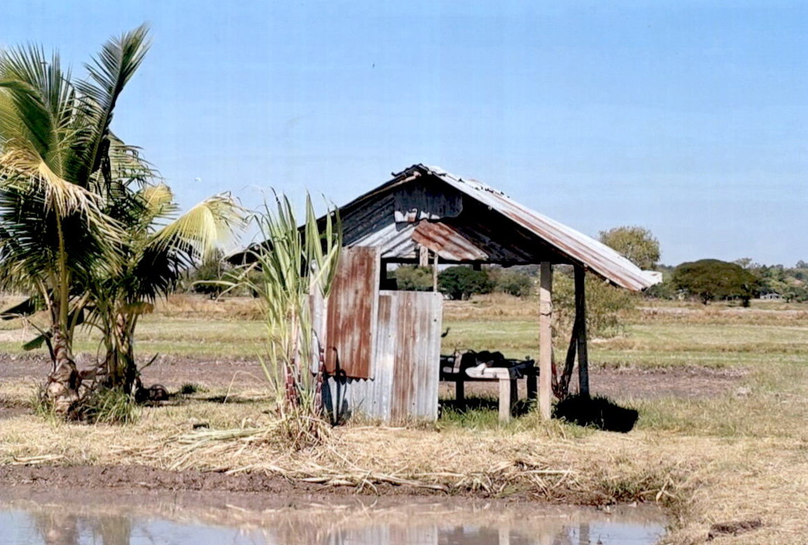 ขายทอดตลาด ที่ดินว่างเปล่า ต.โพนทอง อ.เมืองกาฬสินธุ์ จ.กาฬสินธุ์