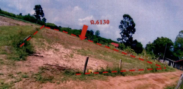 ขายทอดตลาด ที่ดินว่างเปล่า ต.ลำห้วยหลัว อ.สมเด็จ จ.กาฬสินธุ์