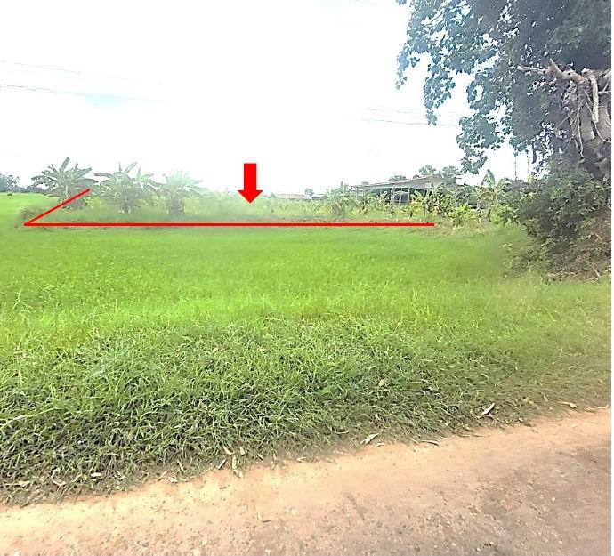 ขายทอดตลาด ที่ดินว่างเปล่า ต.เหล่ากลาง อ.ฆ้องชัย จ.กาฬสินธุ์
