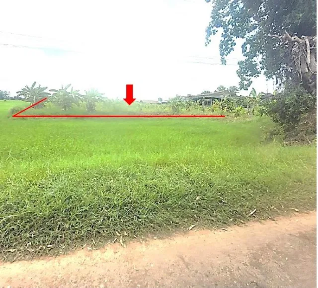 ขายทอดตลาด ที่ดินว่างเปล่า ต.เหล่ากลาง อ.ฆ้องชัย จ.กาฬสินธุ์