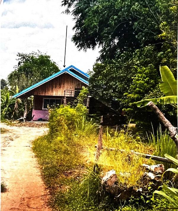 ขายทอดตลาด ที่ดินพร้อมสิ่งปลูกสร้าง ต.นิคมห้วยผึ้ง อ.ห้วยผึ้ง จ.กาฬสินธุ์