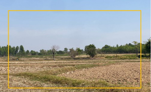 ขายทอดตลาด ที่ดินว่างเปล่า ต.ขมิ้น อ.เมืองกาฬสินธุ์ จ.กาฬสินธุ์