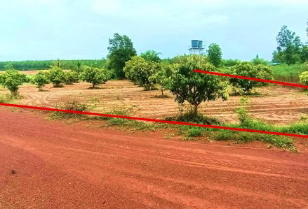 ขายทอดตลาด ที่ดินว่างเปล่า ต.หนองสรวง อ.หนองกุงศรี จ.กาฬสินธุ์