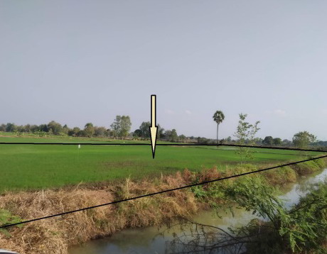 ขายทอดตลาด ที่ดินว่างเปล่า ต.ลำชี อ.ฆ้องชัย จ.กาฬสินธุ์