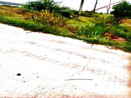 ขายทอดตลาด ที่ดินว่างเปล่า ต.ลำชี อ.ฆ้องชัย จ.กาฬสินธุ์