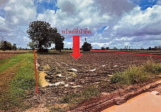ขายทอดตลาด ที่ดินว่างเปล่า จ.กาฬสินธุ์