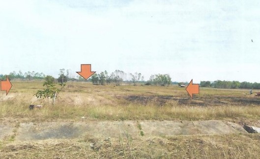 ขายทอดตลาด ที่ดินว่างเปล่า ต.ดงลิง อ.กมลาไสย จ.กาฬสินธุ์