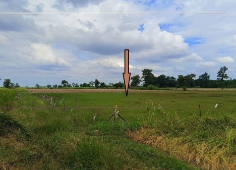 ขายทอดตลาด ที่ดินว่างเปล่า ต.สำราญใต้ อ.สามชัย จ.กาฬสินธุ์