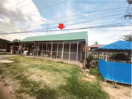ขายทอดตลาด ที่ดินพร้อมสิ่งปลูกสร้าง ต.กมลาไสย อ.กมลาไสย จ.กาฬสินธุ์