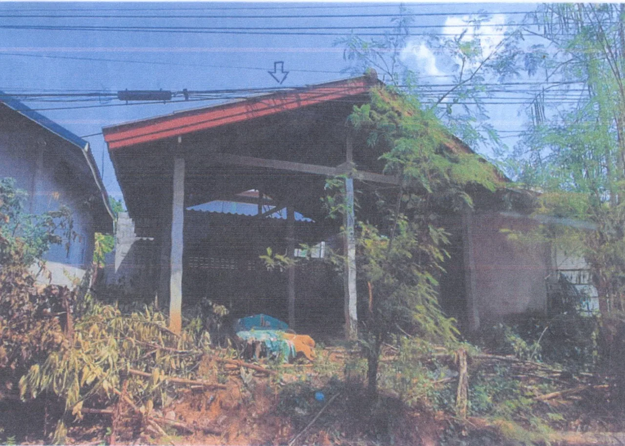 ขายทอดตลาด ที่ดินพร้อมสิ่งปลูกสร้าง ต.หนองบัวระเหว อ.หนองบัวระเหว จ.ชัยภูมิ