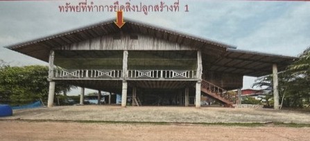 ขายทอดตลาด ที่ดินพร้อมสิ่งปลูกสร้าง ต.หนองบัว อ.หนองกุงศรี จ.กาฬสินธุ์