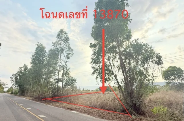 ขายทอดตลาด ที่ดินว่างเปล่า จ.นครราชสีมา