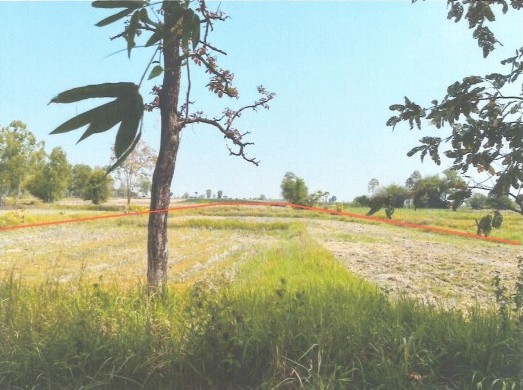 ขายทอดตลาด ที่ดินว่างเปล่า ต.ลำหนองแสน อ.หนองกุงศรี จ.กาฬสินธุ์