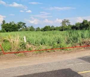 ขายทอดตลาด ที่ดินว่างเปล่า ต.คำบง อ.ห้วยผึ้ง จ.กาฬสินธุ์