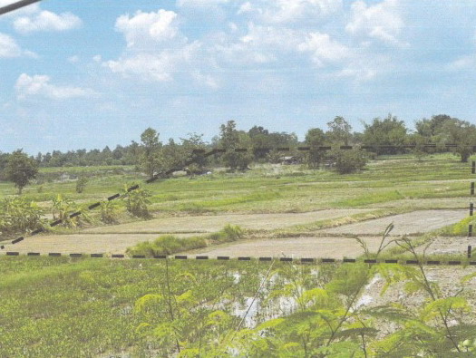 ขายทอดตลาด ที่ดินว่างเปล่า ต.บึงวิชัย อ.เมืองกาฬสินธุ์ จ.กาฬสินธุ์