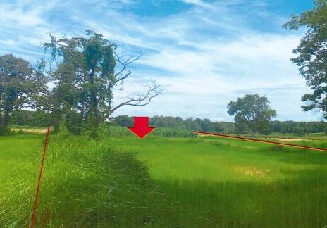 ขายทอดตลาด ที่ดินว่างเปล่า จ.กาฬสินธุ์