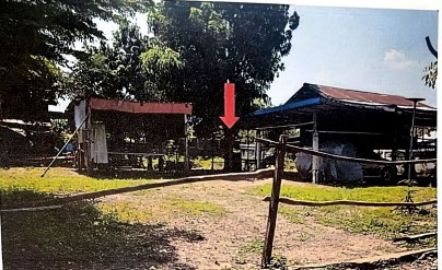 ขายทอดตลาด ที่ดินว่างเปล่า ต.หัวงัว อ.ยางตลาด จ.กาฬสินธุ์