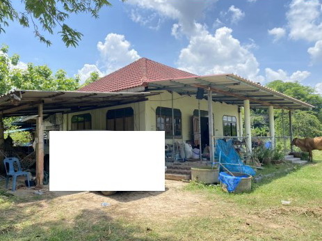 ขายทอดตลาด ที่ดินพร้อมสิ่งปลูกสร้าง ต.โพนทอง อ.เมืองกาฬสินธุ์ จ.กาฬสินธุ์