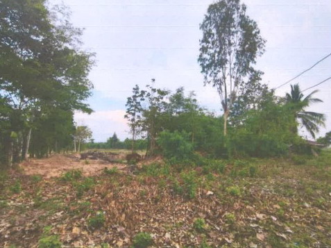 ขายทอดตลาด ที่ดินว่างเปล่า ต.ลำปาว อ.เมืองกาฬสินธุ์ จ.กาฬสินธุ์