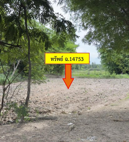 ขายทอดตลาด ที่ดินว่างเปล่า ต.ยอดแกง อ.นามน จ.กาฬสินธุ์