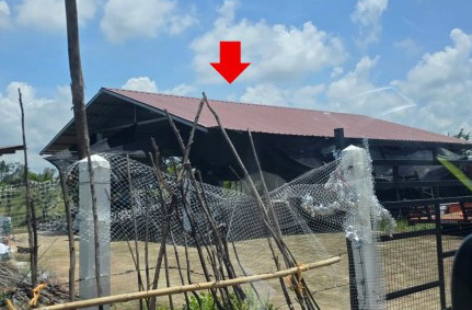ขายทอดตลาด ที่ดินพร้อมสิ่งปลูกสร้าง ต.โคกสมบูรณ์ อ.กมลาไสย จ.กาฬสินธุ์