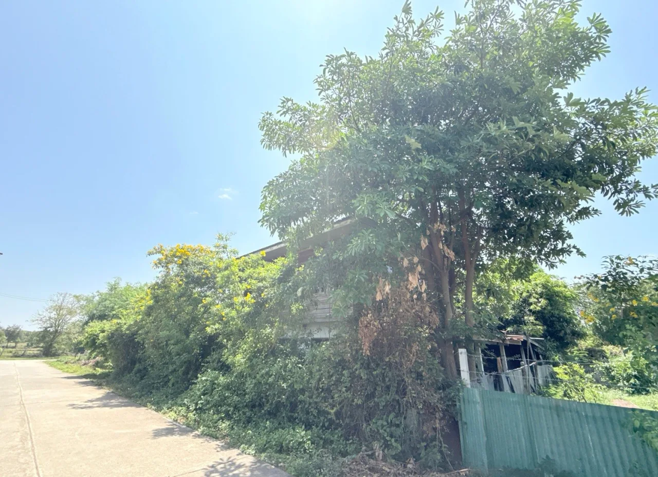 ขายทอดตลาด ที่ดินพร้อมสิ่งปลูกสร้าง ต.โพนเพ็ก อ.มัญจาคีรี จ.ขอนแก่น