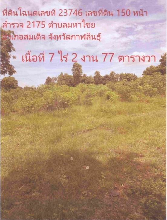 ขายทอดตลาด ที่ดินว่างเปล่า ต.มหาไชย อ.สมเด็จ จ.กาฬสินธุ์
