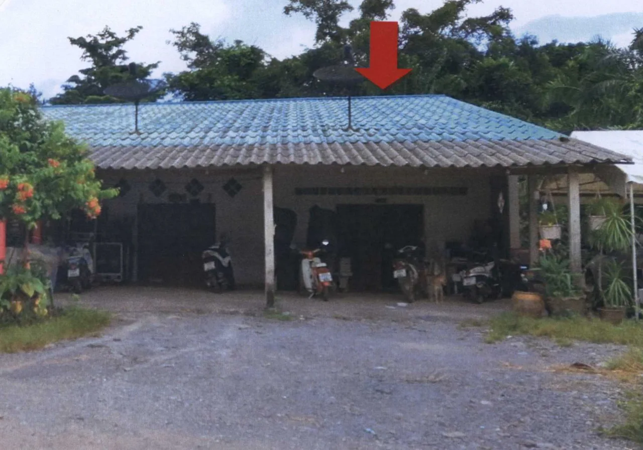 ขายทอดตลาด ที่ดินพร้อมสิ่งปลูกสร้าง ต.เกาะลันตาใหญ่ อ.เกาะลันตา จ.กระบี่