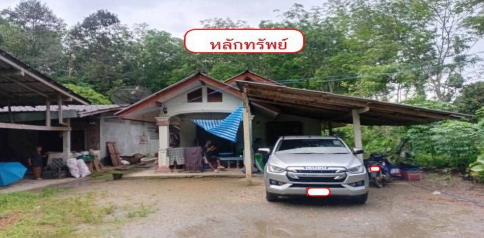 ขายทอดตลาด ที่ดินพร้อมสิ่งปลูกสร้าง ต.นาชุมเห็ด อ.ย่านตาขาว จ.ตรัง