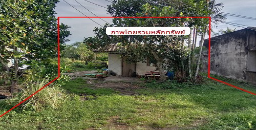 ขายทอดตลาด ที่ดินพร้อมสิ่งปลูกสร้าง ต.คลองชีล้อม อ.กันตัง จ.ตรัง