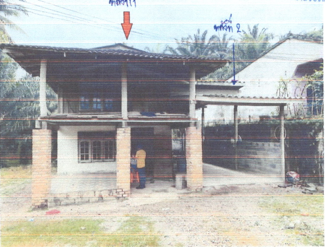 ขายทอดตลาด ที่ดินพร้อมสิ่งปลูกสร้าง ต.ปลายพระยา อ.ปลายพระยา จ.กระบี่