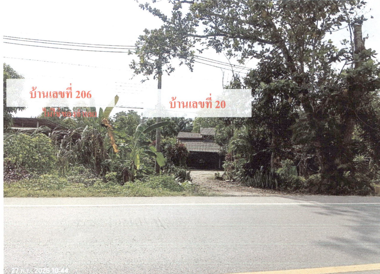 ขายทอดตลาด ที่ดินพร้อมสิ่งปลูกสร้าง ต.เขาพนม อ.เขาพนม จ.กระบี่