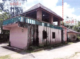 รูปทรัพย์ 2