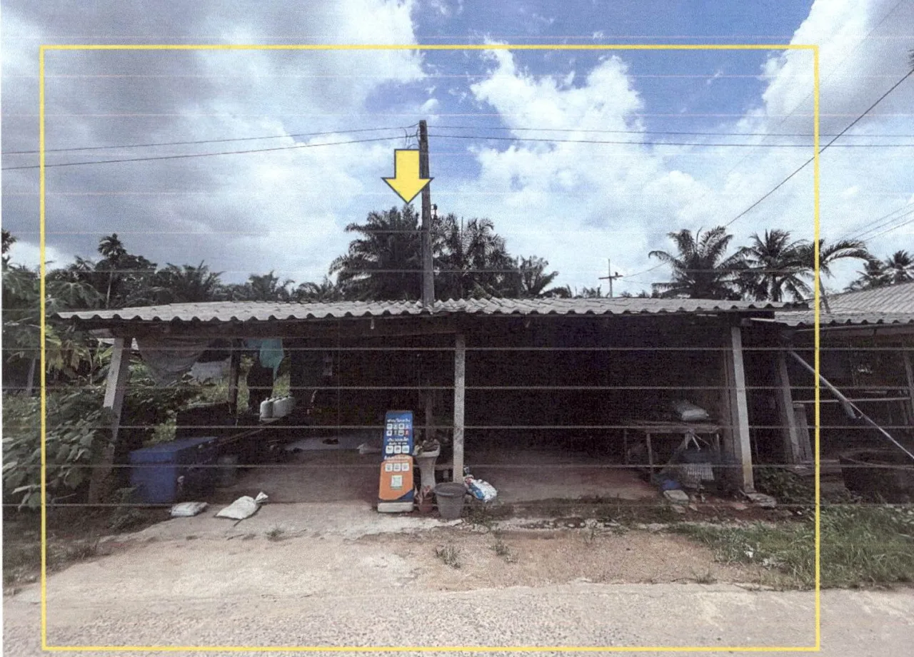 ขายทอดตลาด ที่ดินพร้อมสิ่งปลูกสร้าง ต.พรุเตียว อ.เขาพนม จ.กระบี่
