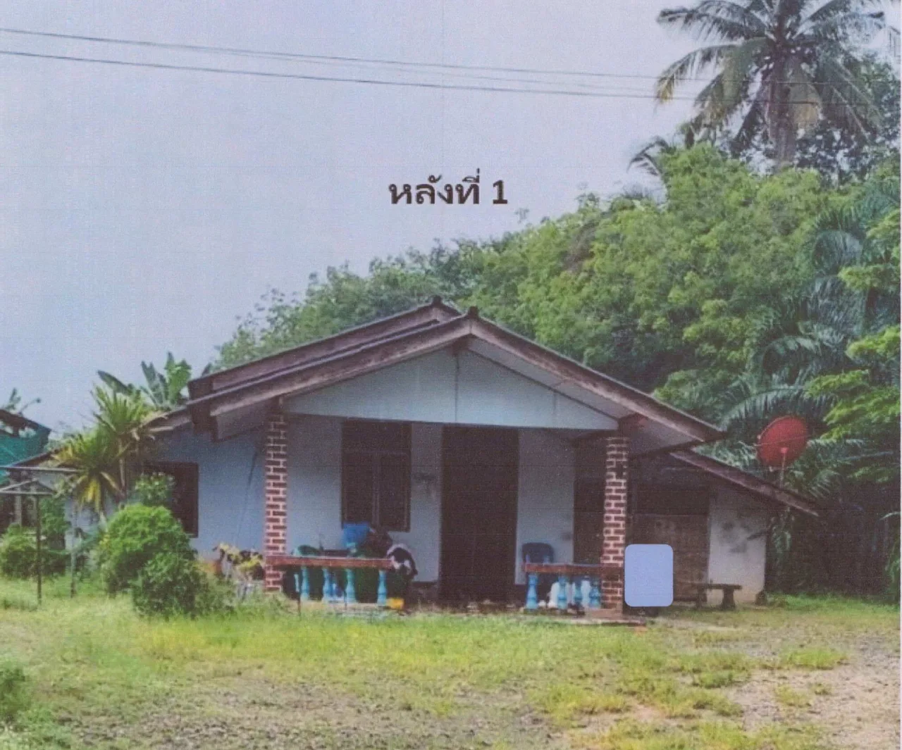 ขายทอดตลาด ที่ดินพร้อมสิ่งปลูกสร้าง ต.อ่าวตง อ.วังวิเศษ จ.ตรัง