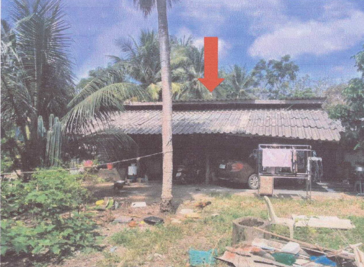 ขายทอดตลาด ที่ดินพร้อมสิ่งปลูกสร้าง ต.สุโสะ อ.ปะเหลียน จ.ตรัง