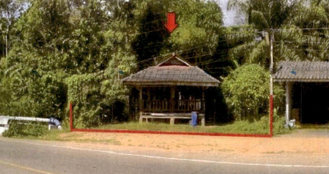 ขายทอดตลาด ที่ดินพร้อมสิ่งปลูกสร้าง ต.กระบี่น้อย อ.เมืองกระบี่ จ.กระบี่