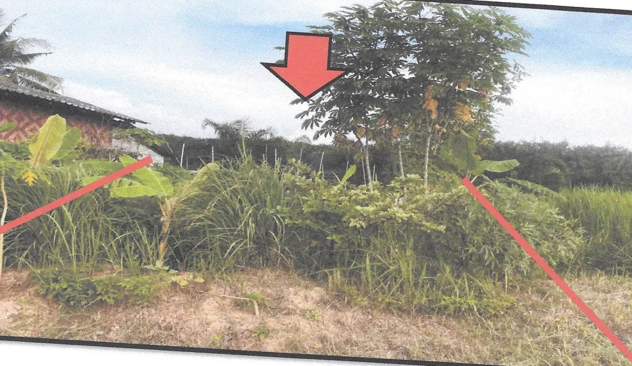ขายทอดตลาด ที่ดินว่างเปล่า ต.คลองพน อ.คลองท่อม จ.กระบี่