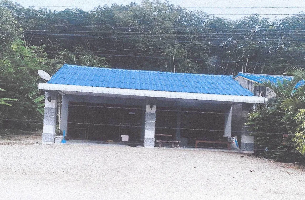 ขายทอดตลาด ที่ดินพร้อมสิ่งปลูกสร้าง ต.หน้าเขา อ.เขาพนม จ.กระบี่