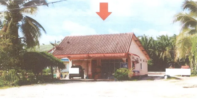 ขายทอดตลาด ที่ดินพร้อมสิ่งปลูกสร้าง ต.ทุ่งไทรทอง อ.ลำทับ จ.กระบี่