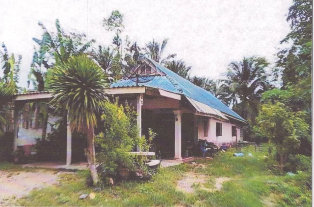 ขายทอดตลาด ที่ดินพร้อมสิ่งปลูกสร้าง ต.ทรายขาว อ.คลองท่อม จ.กระบี่