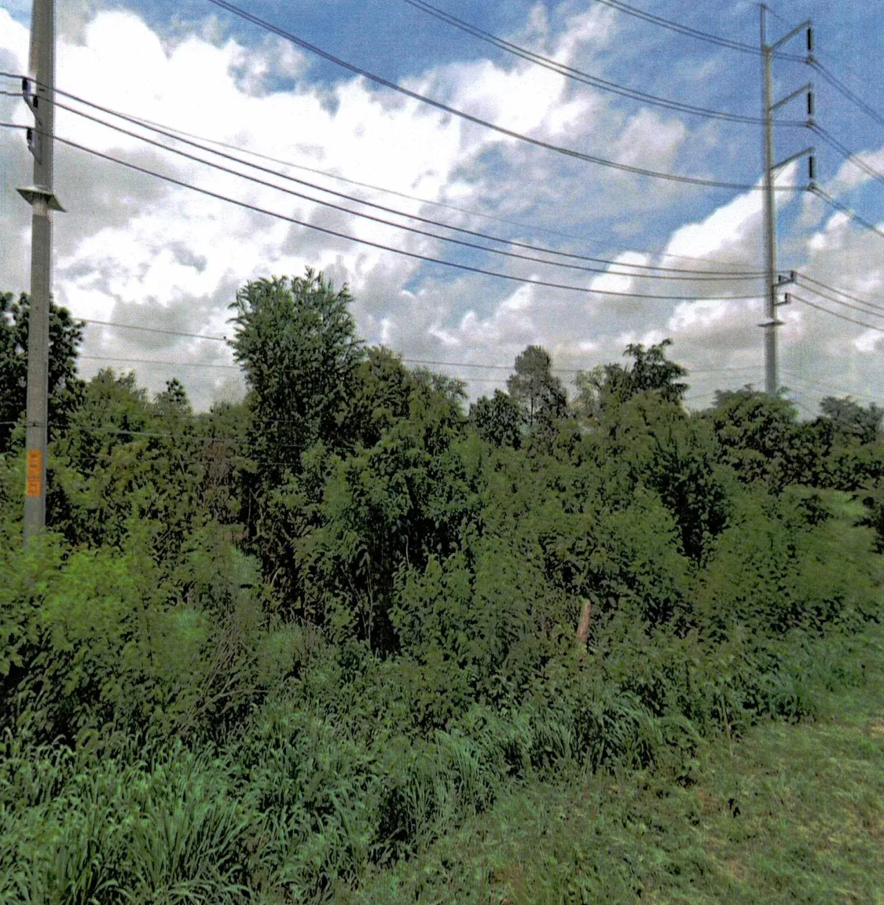 ขายทอดตลาด ที่ดินว่างเปล่า ต.บ้านชวน อ.บำเหน็จณรงค์ จ.ชัยภูมิ