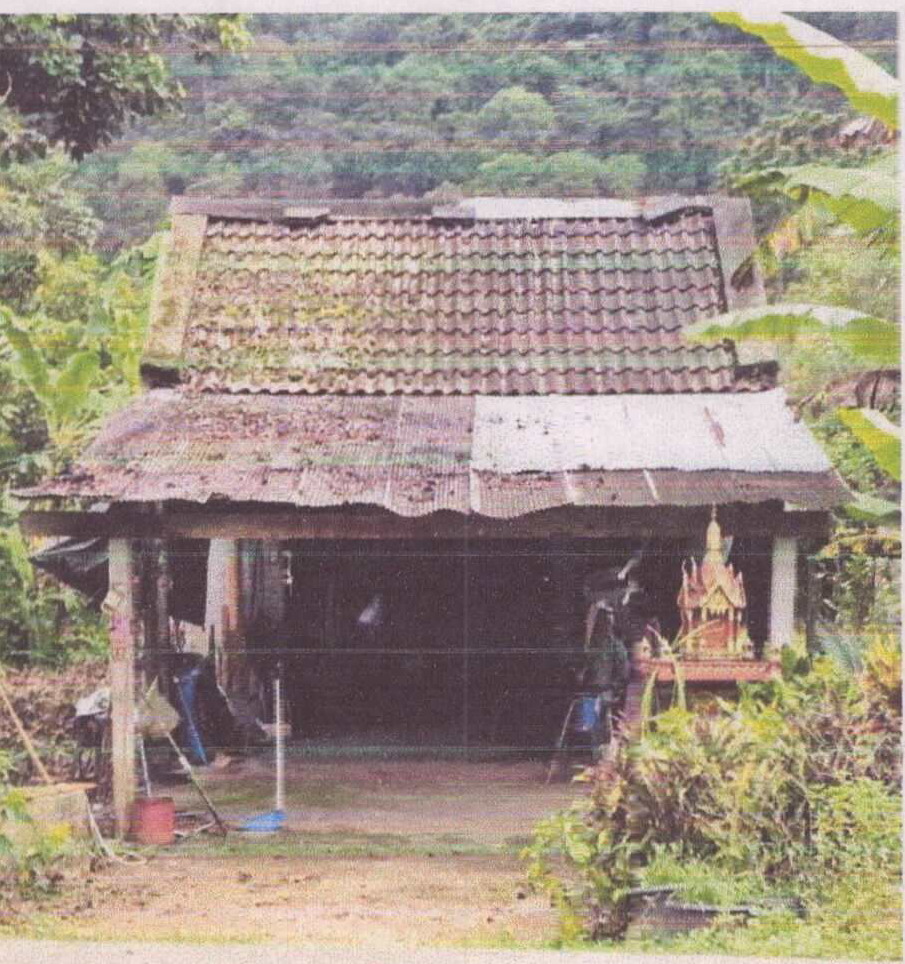 ขายทอดตลาด ที่ดินพร้อมสิ่งปลูกสร้าง ต.ปะเหลียน อ.ปะเหลียน จ.ตรัง