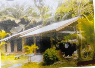 รูปทรัพย์ 1